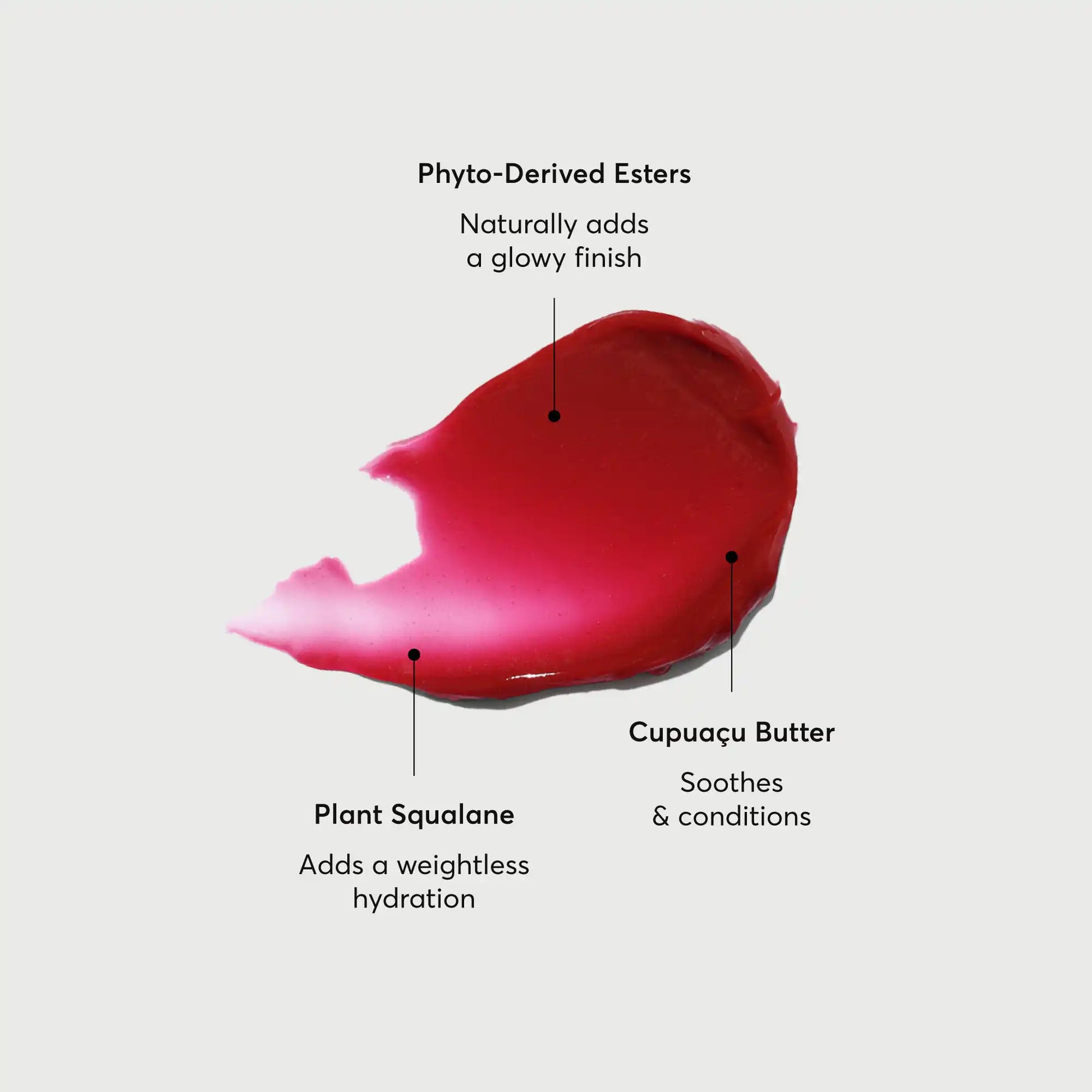 phyto-glow-lip-balm-lychee-m2 NATR-60072-Alt-Images-Phyto-Glow-Lip-Balm-Lychee-01.webp