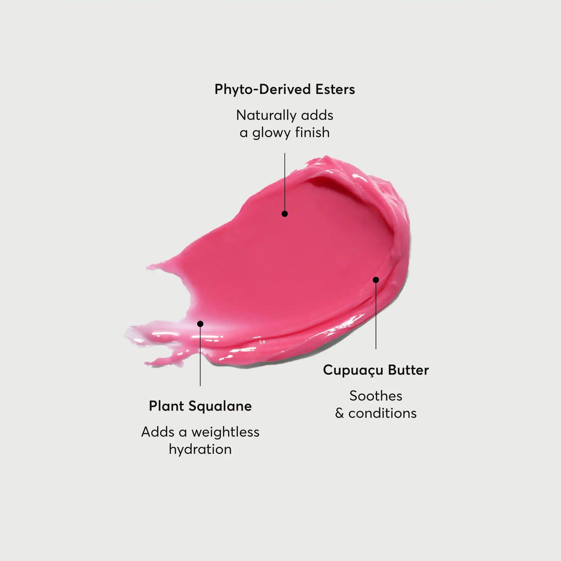 phyto-glow-lip-balm-camellia-h2 NATR-60075-Alt-Images-Phyto-Glow-Lip-Balm-Camellia-01.webp