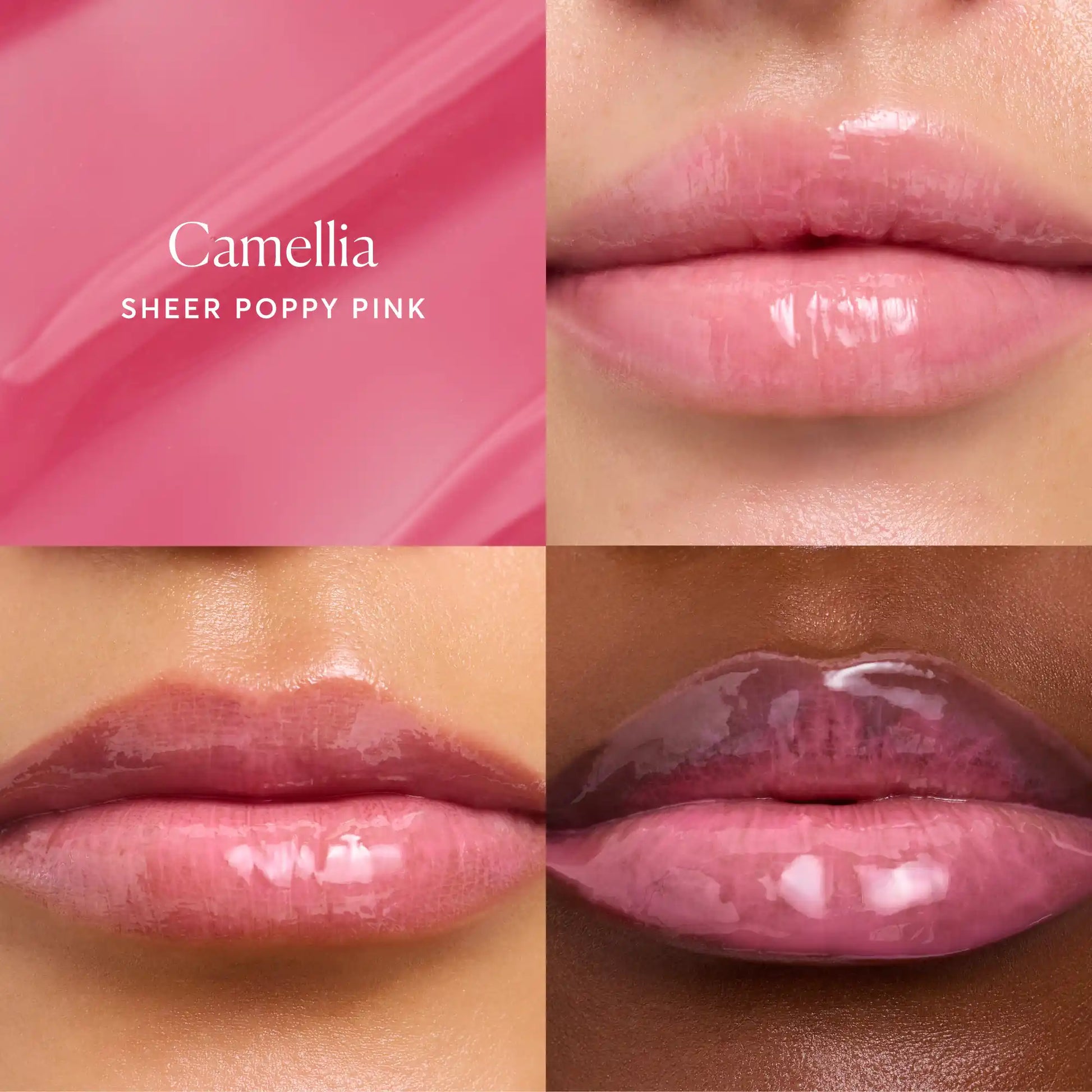 phyto-glow-lip-balm-camellia-h2 NATR-60075-Alt-Images-Phyto-Glow-Lip-Balm-Camellia-05.webp
